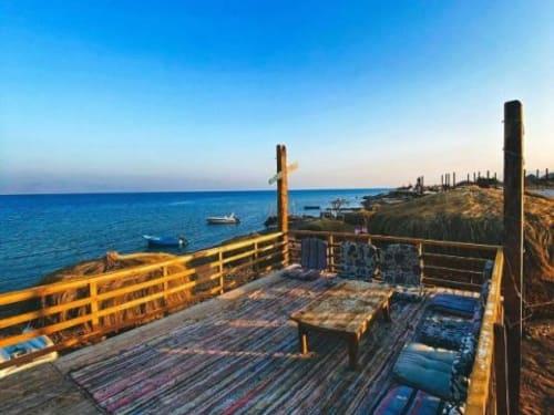 סי הורס קאמפ