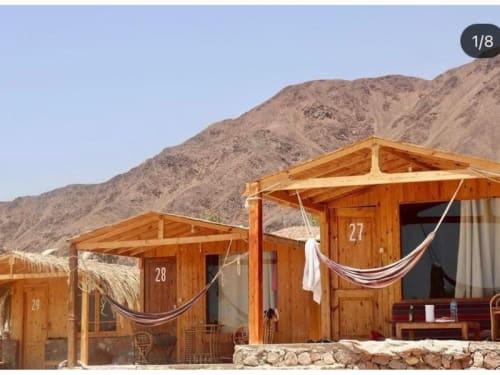 יסמינה קמאפ אצל סבאח