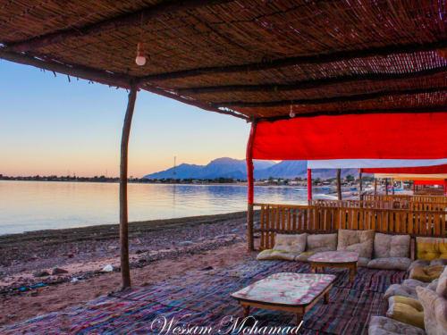 סאראיה קאמפ