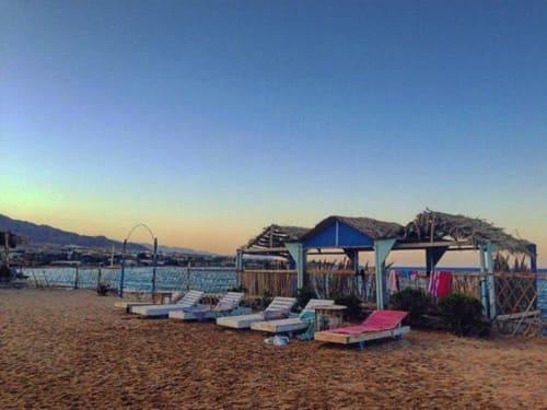 סופט ביץ' קאמפ