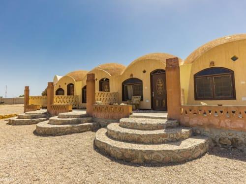 פרידום קאמפ