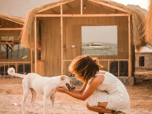 סיני לייף ביץ׳ קאמפ