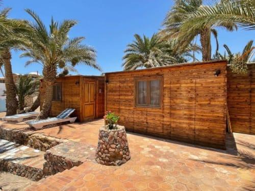 דולפין קאמפ