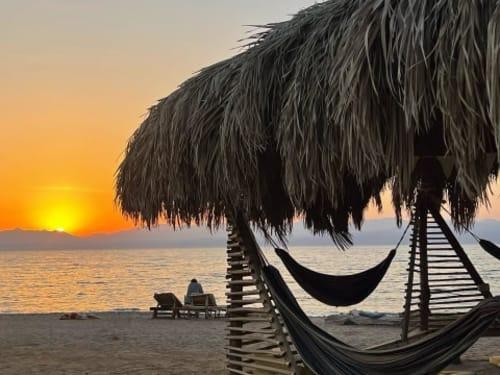 אלוואה קאמפ